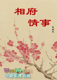 小说相府